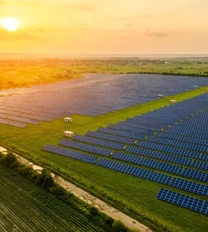 Solar panels in field
